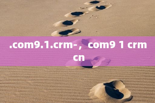 .com9.1.crm-，com9 1 crm cn