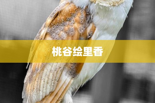 桃谷绘里香