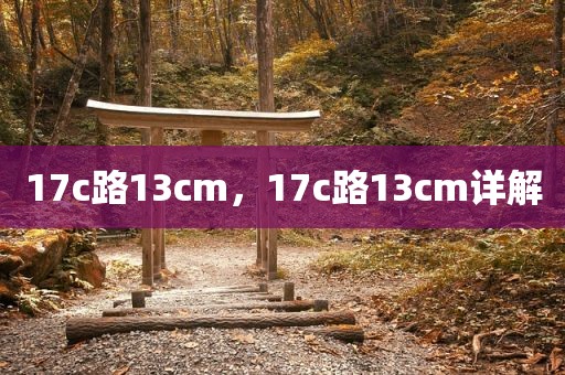 17c路13cm，17c路13cm详解