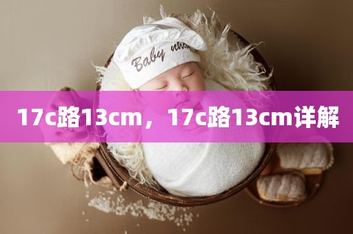 17c路13cm，17c路13cm详解