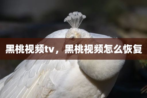 黑桃视频tv，黑桃视频怎么恢复