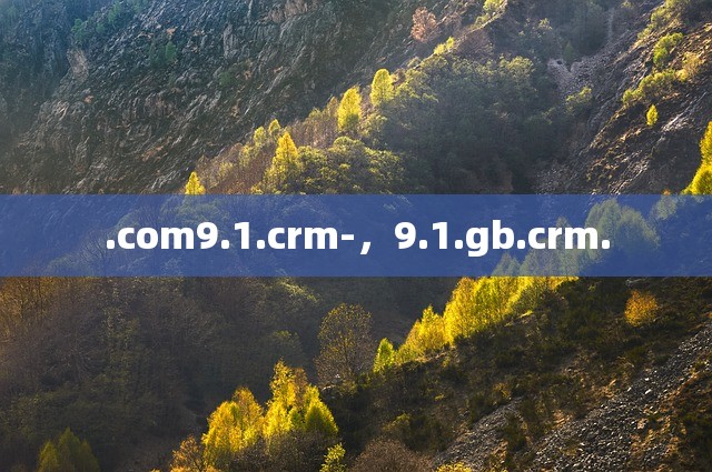 .com9.1.crm-，9.1.gb.crm.