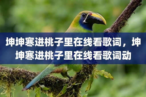 坤坤寒进桃子里在线看歌词，坤坤寒进桃子里在线看歌词动
