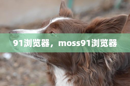 91浏览器，moss91浏览器