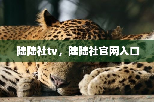 陆陆社tv，陆陆社官网入口