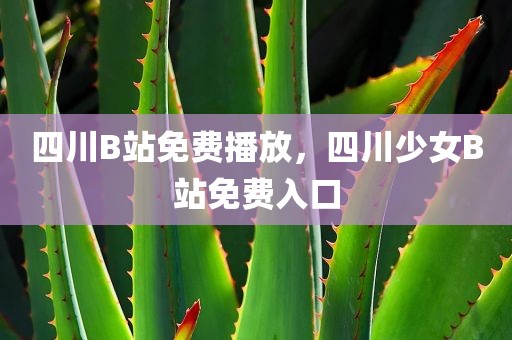 四川B站免费播放，四川少女B站免费入口