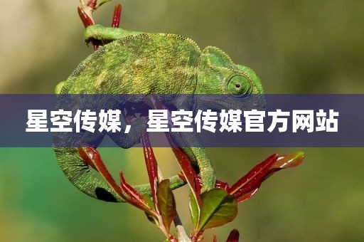 星空传媒，星空传媒官方网站