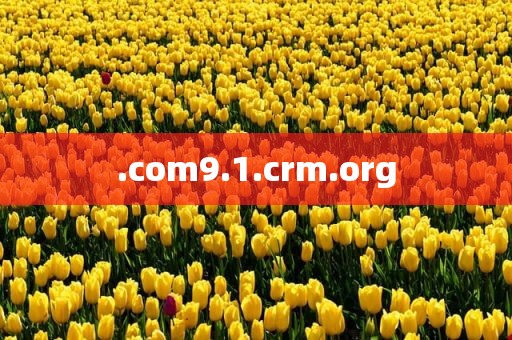 .com9.1.crm.org