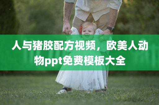 人与猪胶配方视频，欧美人动物ppt免费模板大全