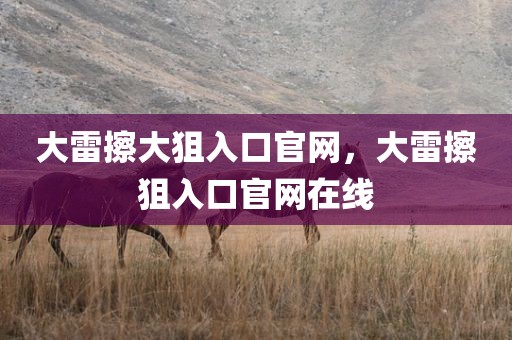 大雷擦大狙入口官网，大雷擦狙入口官网在线