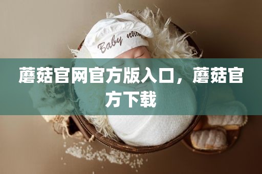 蘑菇官网官方版入口，蘑菇官方下载