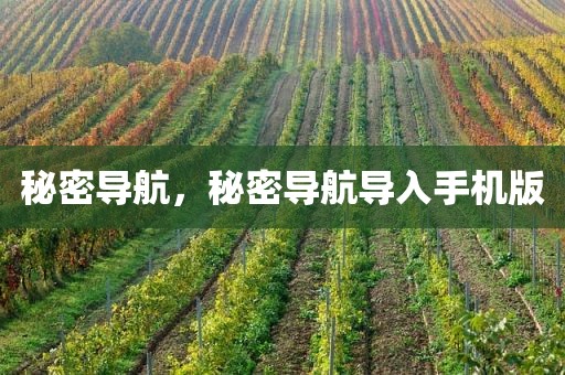秘密导航，秘密导航导入手机版