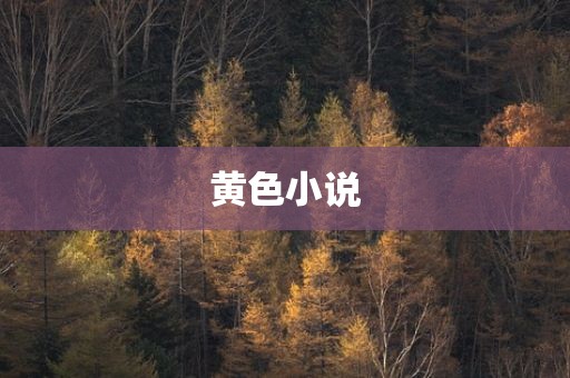 黄色小说
