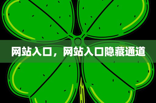 网站入口，网站入口隐藏通道