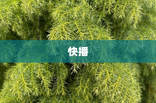 快播