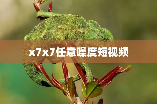 x7x7任意噪度短视频