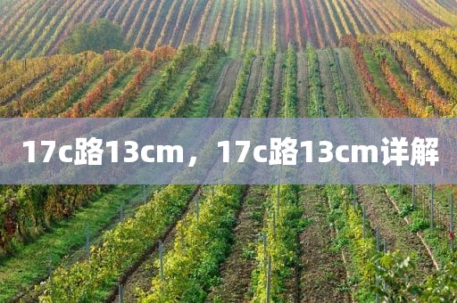 17c路13cm，17c路13cm详解