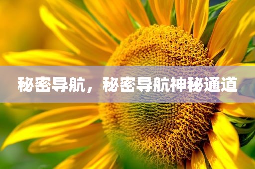 秘密导航，秘密导航神秘通道