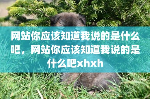 网站你应该知道我说的是什么吧，网站你应该知道我说的是什么吧xhxh