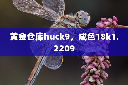 黄金仓库huck9，成色18k1.2209