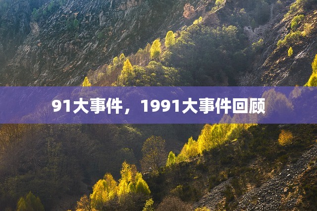 91大事件，1991大事件回顾