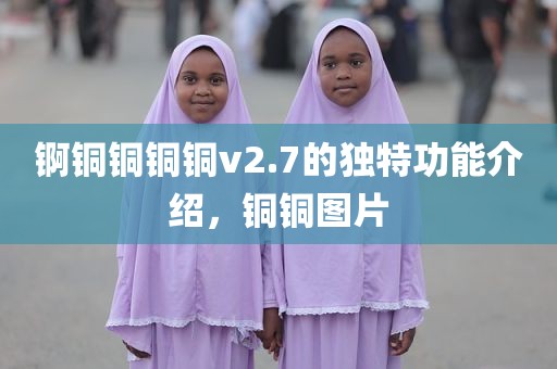 锕铜铜铜铜v2.7的独特功能介绍，铜铜图片