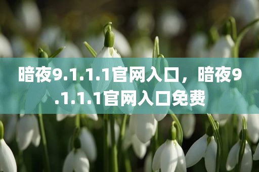 暗夜9.1.1.1官网入口，暗夜9.1.1.1官网入口免费