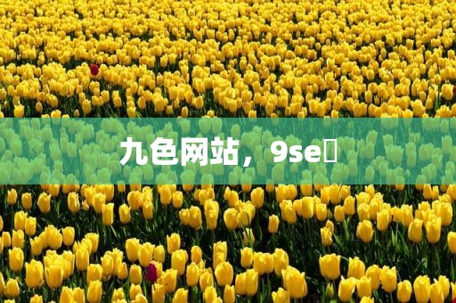 九色网站，9se 