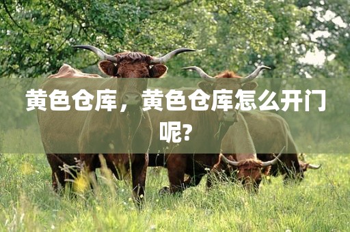黄色仓库，黄色仓库怎么开门呢?