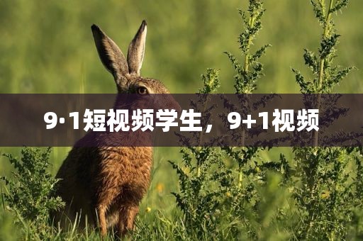 9·1短视频学生，9+1视频