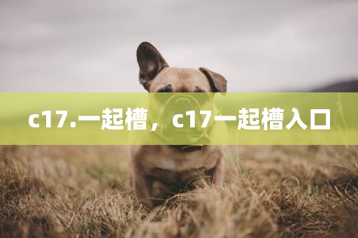 c17.一起槽，c17一起槽入口