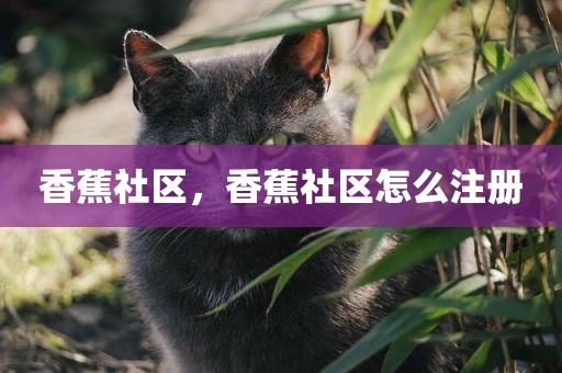 香蕉社区，香蕉社区怎么注册