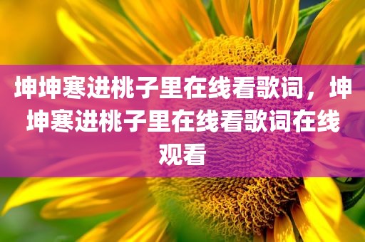 坤坤寒进桃子里在线看歌词，坤坤寒进桃子里在线看歌词在线观看