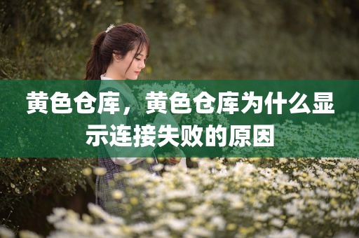 黄色仓库，黄色仓库为什么显示连接失败的原因