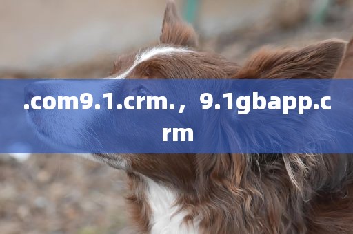 .com9.1.crm.，9.1gbapp.crm