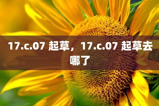 17.c.07 起草，17.c.07 起草去哪了