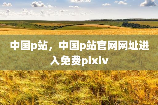 中国p站，中国p站官网网址进入免费pixiv