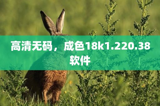 高清无码，成色18k1.220.38软件