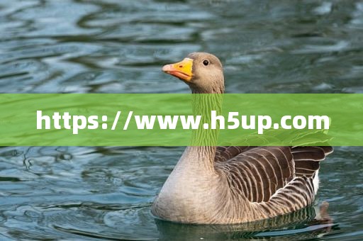 https://www.h5up.com