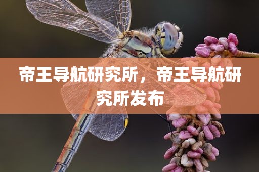 帝王导航研究所，帝王导航研究所发布