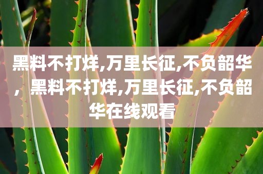 黑料不打烊,万里长征,不负韶华，黑料不打烊,万里长征,不负韶华在线观看