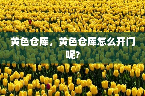 黄色仓库，黄色仓库怎么开门呢?