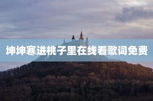 坤坤寒进桃子里在线看歌词免费