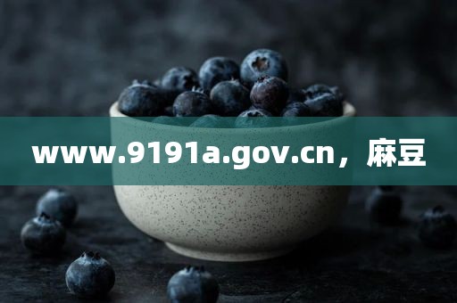 www.9191a.gov.cn，麻豆