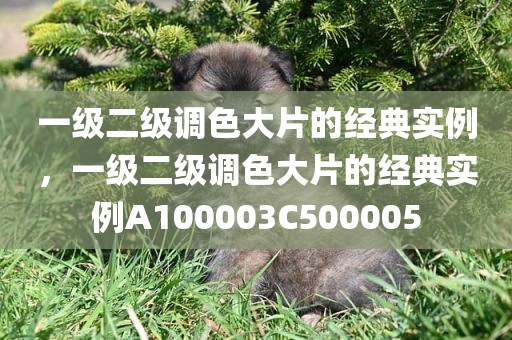 一级二级调色大片的经典实例，一级二级调色大片的经典实例A100003C500005
