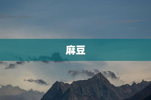 麻豆