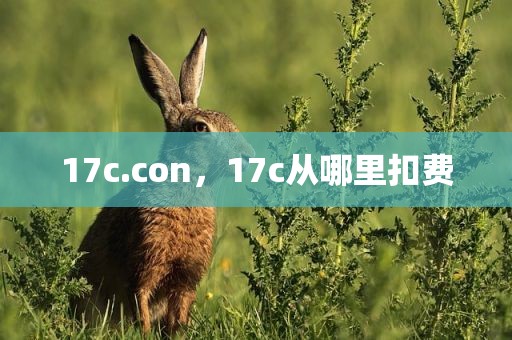 17c.con，17c从哪里扣费