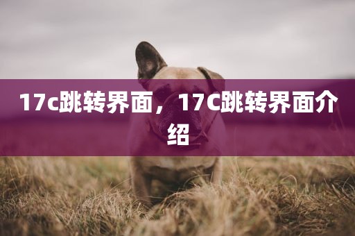 17c跳转界面，17C跳转界面介绍