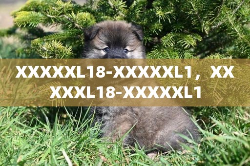 XXXXXL18-XXXXXL1，XXXXXL18-XXXXXL1