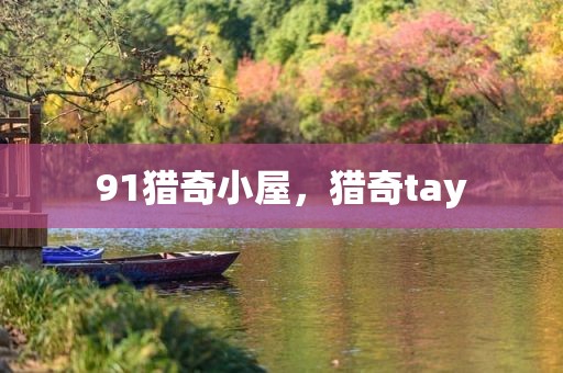 91猎奇小屋，猎奇tay